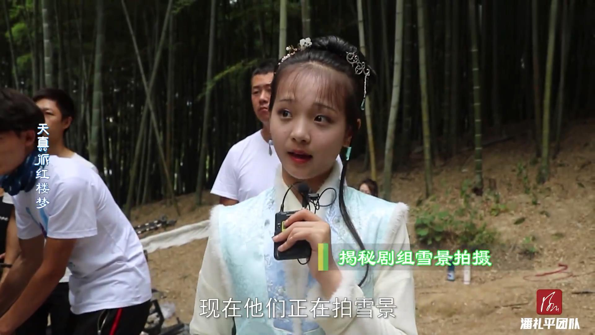 【天真派】《红楼梦之桃花诗社》最美雪景大揭秘